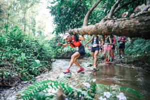 BIB: 
                            <button type="button" onclick="openModal(25453835)" class="btn btn-primary btn-sm float-right btn-popup" data-toggle="modal" data-target=".modal-high-quality">
                        <i class="fas fa-shopping-cart"></i> Add to Cart
                    </button>
                                            <button type="button" onclick="isThisMe(25453835, true)" class="btn btn-success btn-sm float-right btn-popup btn-isme hidden" data-toggle="tooltip" data-placement="bottom" title="นี่คือรูปของคุณใช่ไหม คลิกที่นี่เพื่อเอาเข้าอัลบั้ม">
                        <i class="fas fa-plus"></i> Add to album
                    </button>
                    <button type="button" onclick="isThisMe(25453835, false)" class="btn btn-warning btn-sm float-right btn-popup btn-isnotme hidden">
                        <i class="fas fa-ban"></i> Remove from album
                    </button>